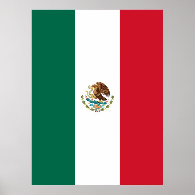 Mexican flag poster (Front)