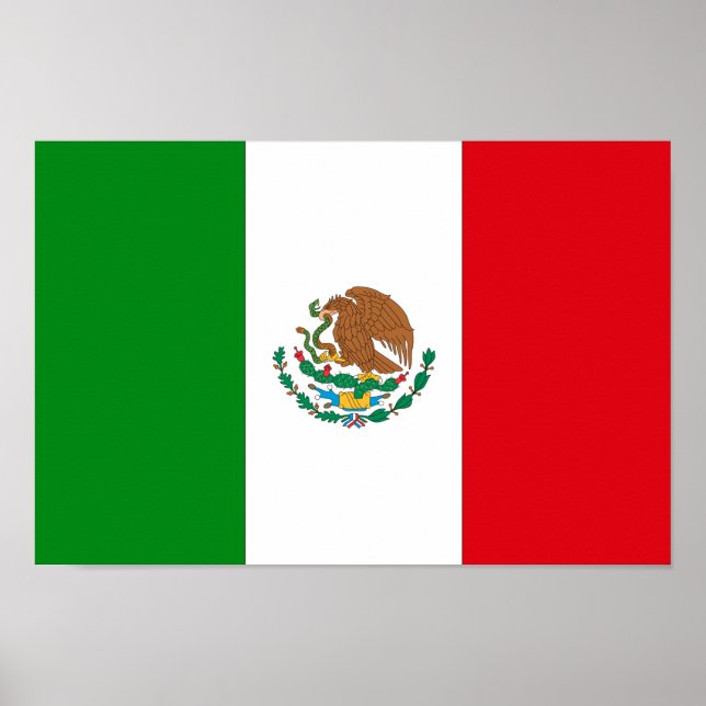 Mexican Flag Poster (Front)