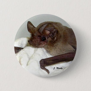 Mexican Free-tailed Bat 6 Cm Round Badge