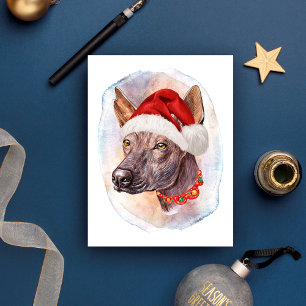 Mexican Hairless Christmas Gifts For Dogs Lovers Holiday Postcard