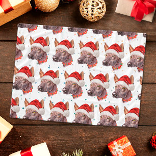 Mexican Hairless Dog Breed Christmas Stars Fleece Blanket