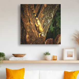 Mexican Iguana Tropical Wildlife 1069 Canvas Print