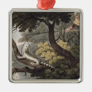 Mexican Lizard Catcher, engraved by Matthew Dubour Metal Tree Decoration