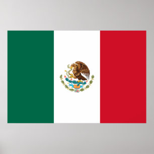 Mexican National Flag (Mexico) Poster