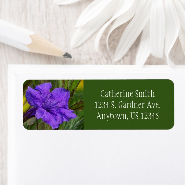 Mexican Petunia Flower / Blue Violet & Green / (Insitu)
