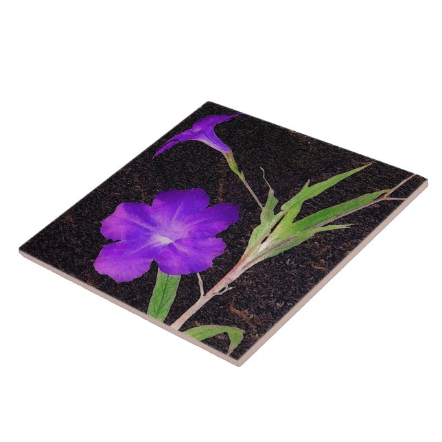 Mexican Petunia Purple Tile (Side)