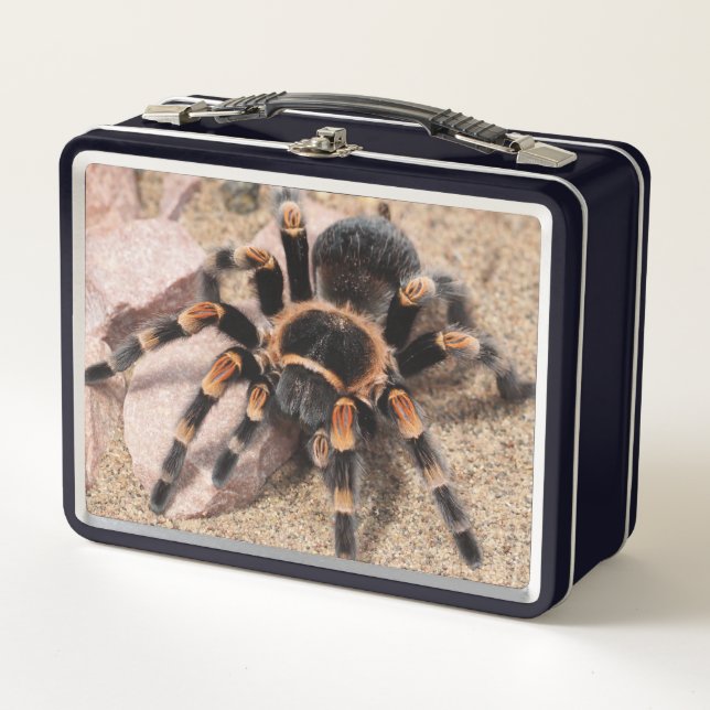 Mexican Red Knee Tarantula Spider Metal Lunch Box (Front)