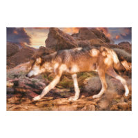 MEXICAN RED WOLF DESERT TREK