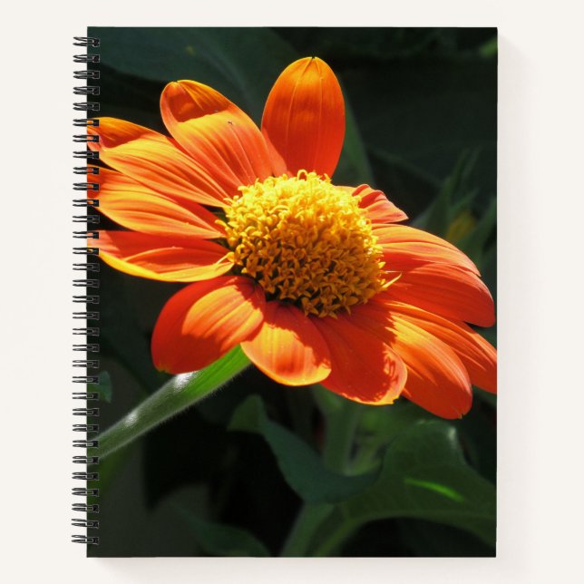 Mexican Sunflower Spiral Notebook -  8.5 x 11, 8.5 (Front)