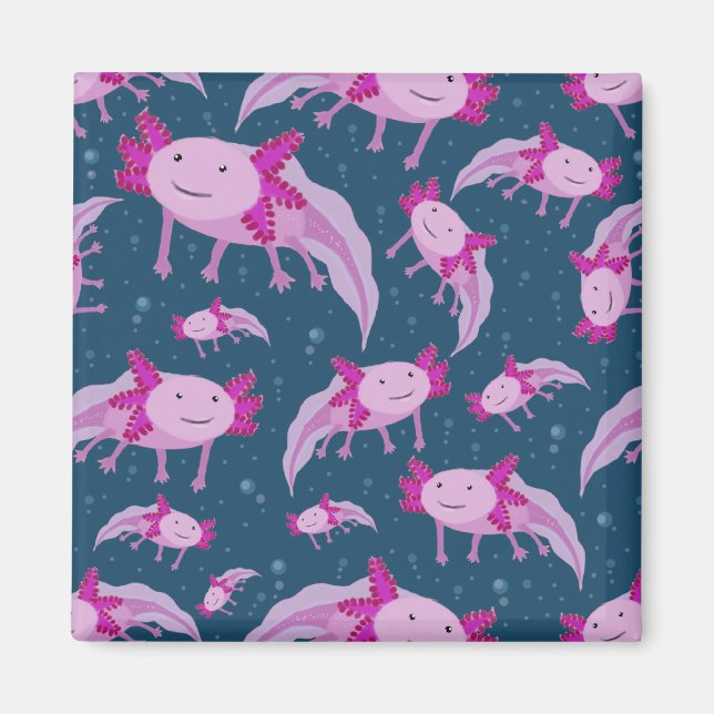 Mexican Walking Fish Pattern Magnet (Front)
