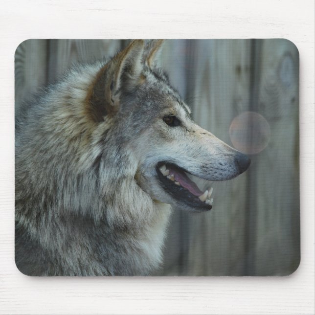 Mexican Wolf Mouse Pad (Front)