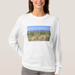 Mexico, Baja California Sur, Cardon Cactus at T-Shirt