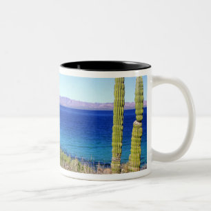 Mexico, Baja California Sur, Mulege, Bahia 2 Two-Tone Coffee Mug