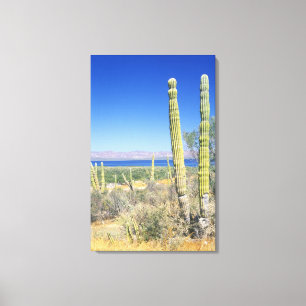 Mexico, Baja California Sur, Mulege, Bahia Canvas Print