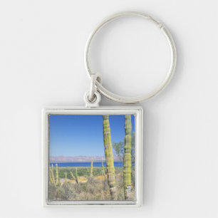 Mexico, Baja California Sur, Mulege, Bahia Key Ring