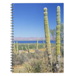 Mexico, Baja California Sur, Mulege, Bahia Spiral Notebook