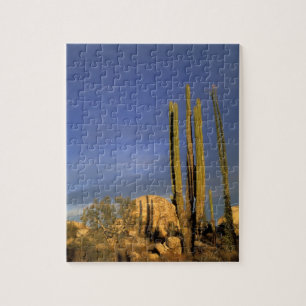 Mexico, Baja del Norte, Catavina Desert National Jigsaw Puzzle