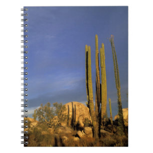 Mexico, Baja del Norte, Catavina Desert National Spiral Notebook