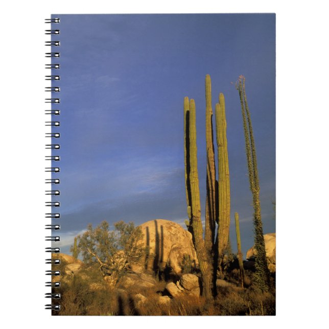 Mexico, Baja del Norte, Catavina Desert National Spiral Notebook (Front)