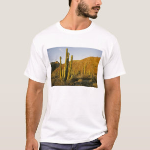 Mexico, Baja, Santa Catalina Island, Sea of T-Shirt