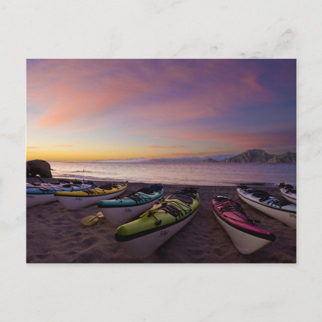 Mexico, Baja, Sea of Cortez. Sea kayaks and Postcard (Front)
