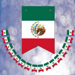 Mexico Banners, Mexican Flag Party / Wedding<br><div class="desc">Bunting / Party Flags: Mexico & Mexican Flag party fashion - weddings,  birhday,  celebrations - love my country,  travel,  national patriots / sports fans</div>