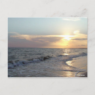 Mexico Beach, Florida Postcard