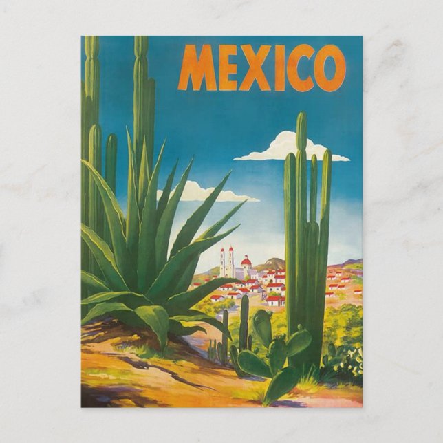 Mexico Cactus Vintage Travel Postcard (Front)