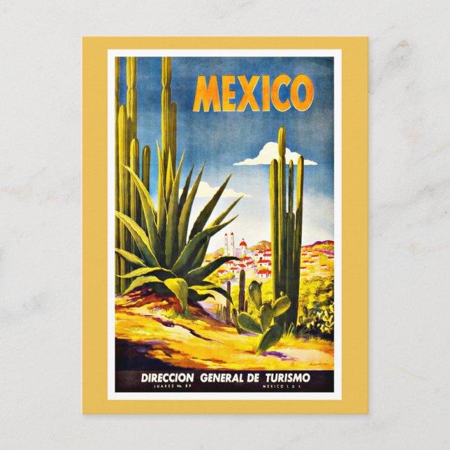 Mexico Cactus Vintage Travel Postcard (Front)