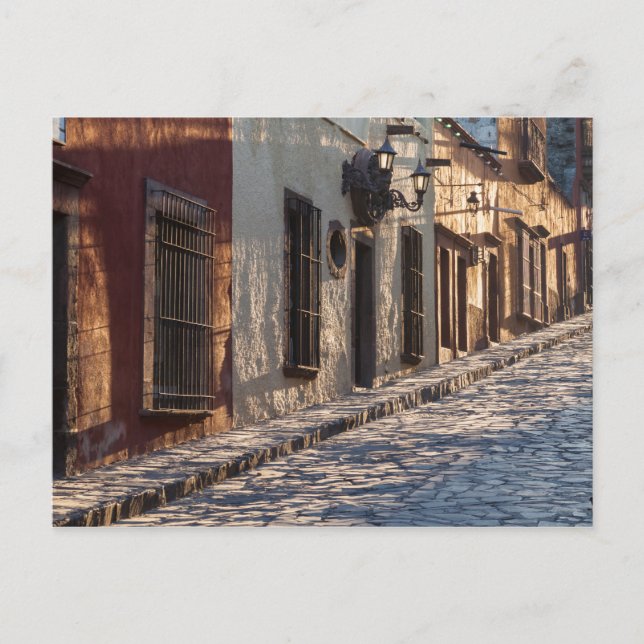 Mexico Cobblestone Street Postcard (Front)