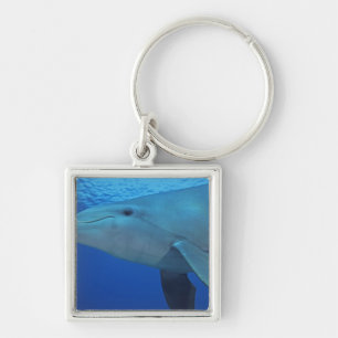 Mexico, Cozumel. Bottlenosed Dolphin, Tursiops 4 Key Ring