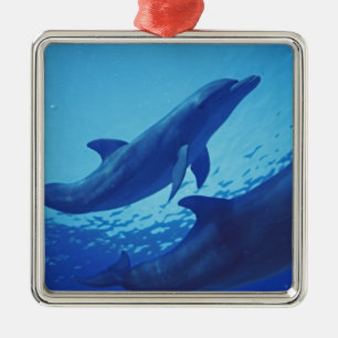 Mexico, Cozumel. Bottlenosed Dolphin, Tursiops Metal Tree Decoration