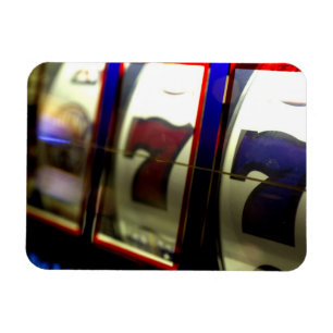 Mexico cruise. Princess Cruises Dawn Princess 3 Magnet