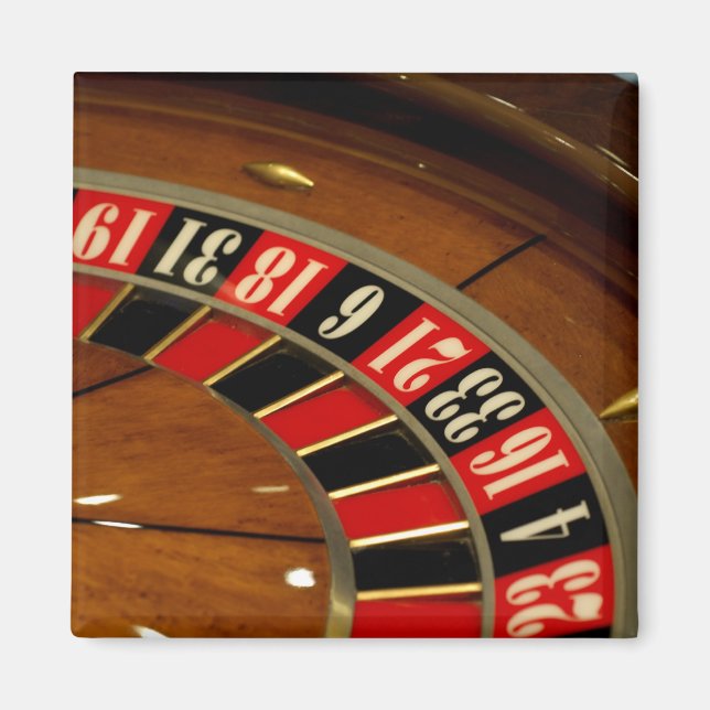 Mexico cruise. Princess Cruises Dawn Princess 5 Magnet (Front)