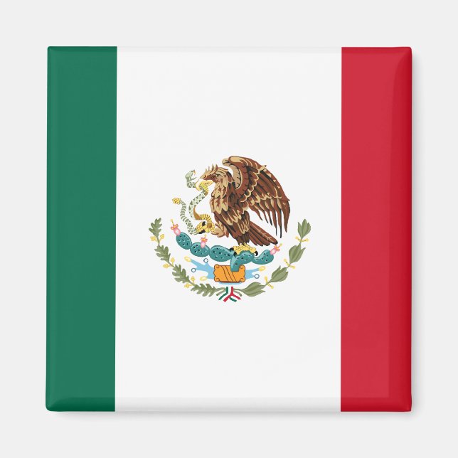 Mexico Flag Magnets (Front)