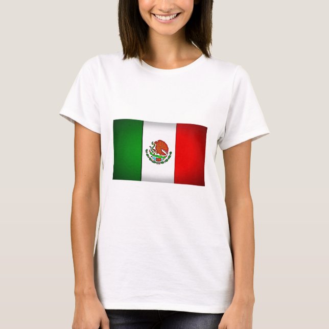 Mexico Flag Stylised T-Shirt (Front)