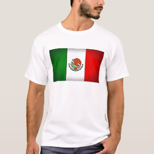 Mexico Flag Stylised T-Shirt