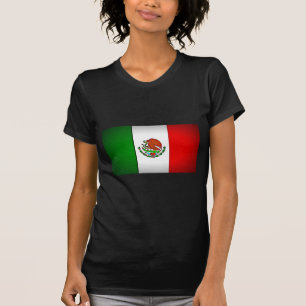 Mexico Flag Stylised T-Shirt