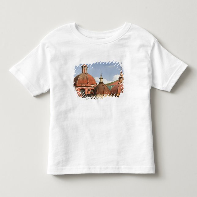 Mexico, Guanajuato State, Guanajuato. Templo de Toddler T-Shirt (Front)