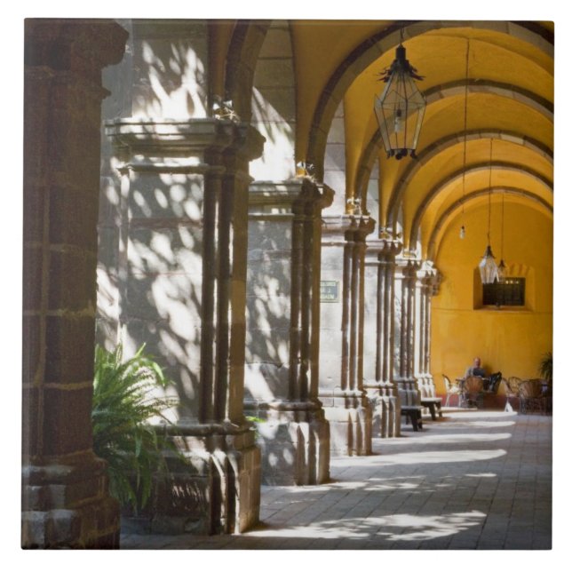 Mexico, Guanajuato state, San Miguel de Allende. Tile (Front)