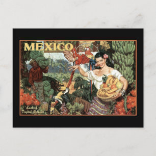mexico land of tropical splendour postcard
