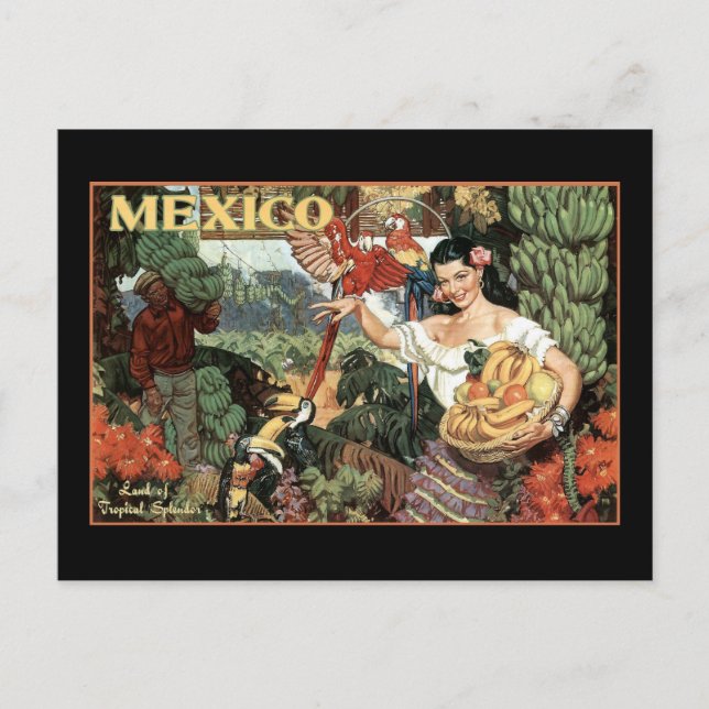 mexico land of tropical splendour postcard (Front)