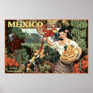 mexico land of tropical splendour poster