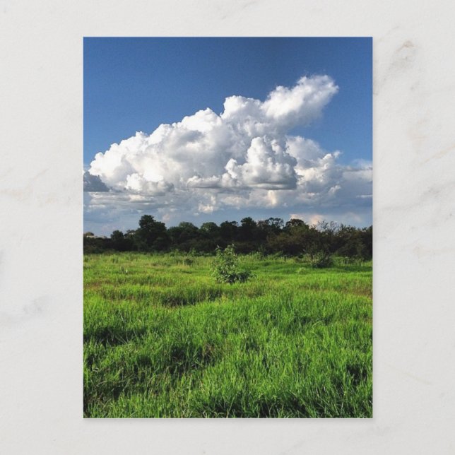 #mexico #losaltos #jalisco postcard (Front)