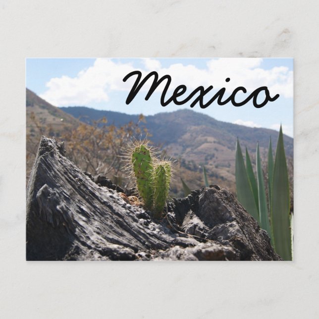 Mexico Mountains Cactus Desert Landscape Postcard (Front)