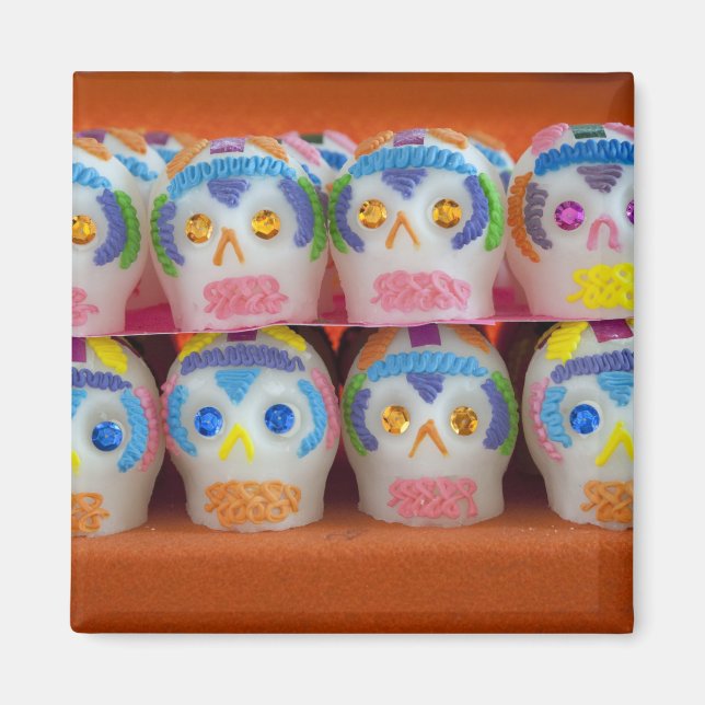 Mexico, Oaxaca Province, Oaxaca, Abastos market, Magnet (Front)