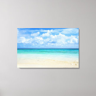 Mexico, Playa Del Carmen, tropical beach Canvas Print