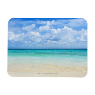 Mexico, Playa Del Carmen, tropical beach Magnet