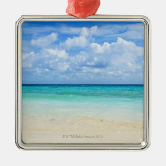 Mexico, Playa Del Carmen, tropical beach Metal Tree Decoration