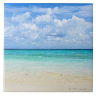Mexico, Playa Del Carmen, tropical beach Tile